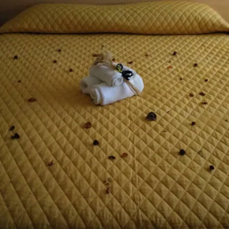 Alojamento de Acomodação e Pequeno-almoço Tufaro Alberico Terranova di Pollino