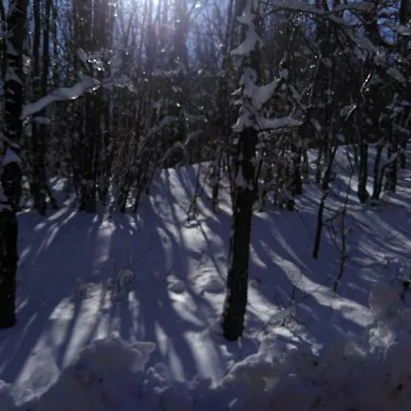 Tufaro Alberico Alojamento de Acomodação e Pequeno-almoço 3*