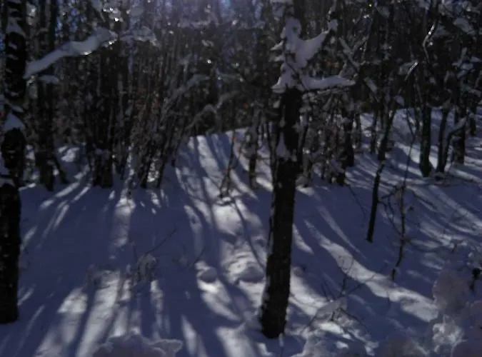 Tufaro Alberico Bed & Breakfast 3*